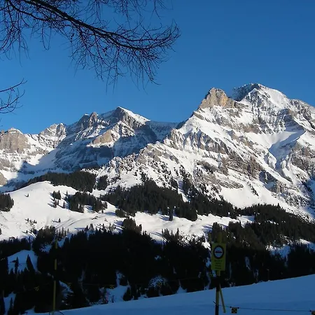 Daire Ferienhaus Wintertal Adelboden